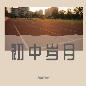 初中岁月伴奏