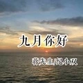 残花吹散落叶 (伴奏)