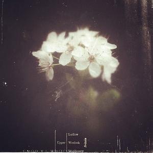 你就不要想起我R&B