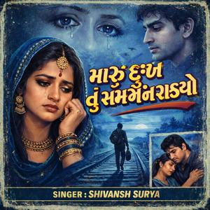 મારું દુઃખ તું સમજી ન શક્યો