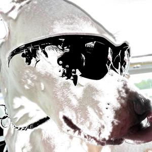 spend (feat. Nosgov)