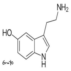 Serotonin
