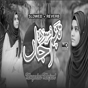 Tanam Farsooda Jaan Para (Lofi-Mix)