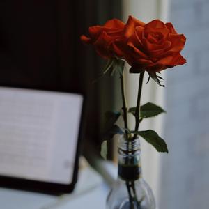 HERMIONE（哈利波特配乐）