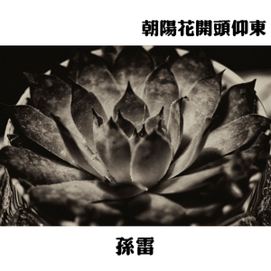 朝阳花开头仰东