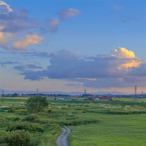 这份爱 是无法取代的宝藏