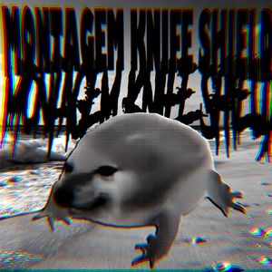 Montagem Knife shield