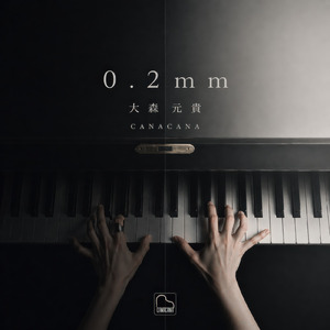 0.2mm (Piano Cover)