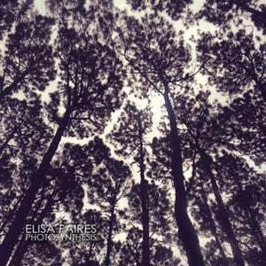 Songs of the Oregon Trees 4