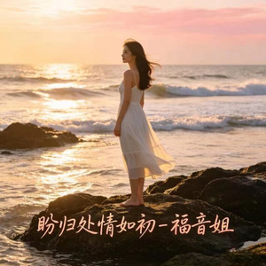 盼归处情如初 (DJ涵涵版)