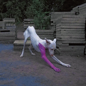 究极自恋男Pt. 2[prod.Kukyo icey]