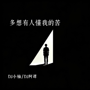 多想有人懂我的苦(DJ版)