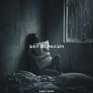 Sen Bilmezsin