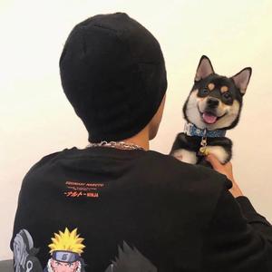 至此流年各天涯