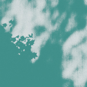 phloem (spa)