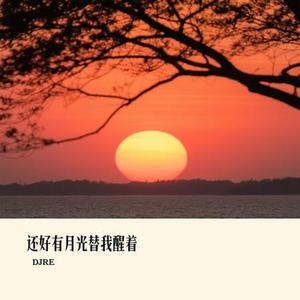 还好有月光替我醒着