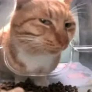 Young And Beautiful (sped up)