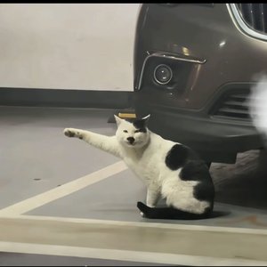 We