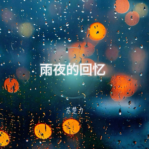 雨夜的回忆