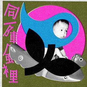 同一阵风里