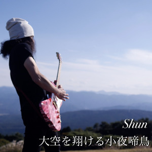 大空を翔ける小夜啼鳥