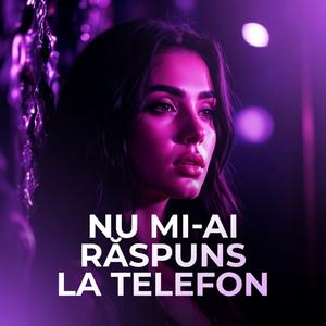 Nu mi-ai raspuns la telefon