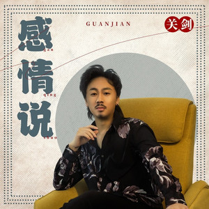 感情说 (DJ陌梦版)