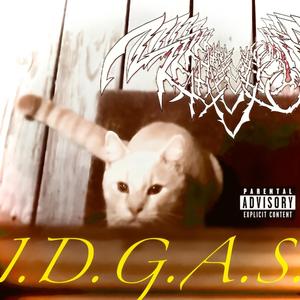 I.D.G.A.S.
