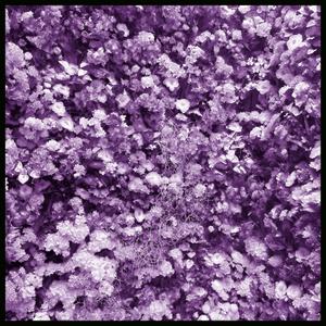 Uncontrollable (feat. BEKIMACHINE)