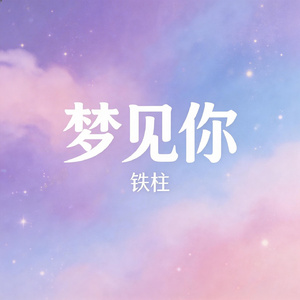 梦见你