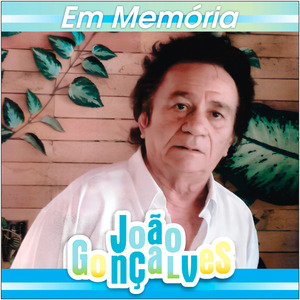 Galo De Estimação