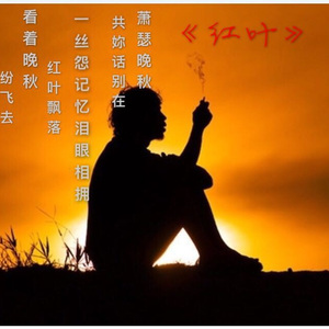 《红叶》纯音乐