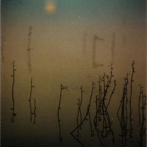 Hiljaiseksi Lampi Jää / The Pond Stays Still