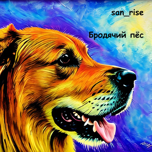 Бродячий пёс