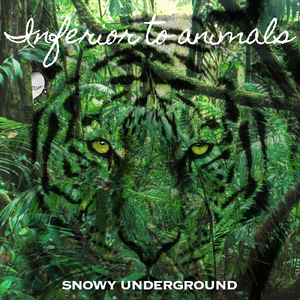 タイガー＆ドラゴン