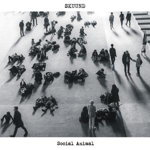 Thylacine (feat. Colin Webster)