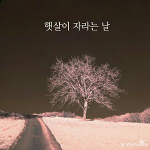 햇살이 자라는 날