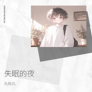 失眠的夜 (DJ版)