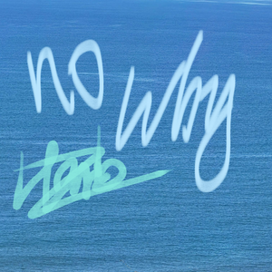 No Why(Prod by QK ON THE BEAT)
