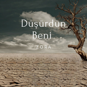 Düşürdün Beni Zora