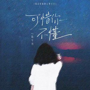 可惜你不懂(我看见你的心里空空)