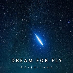 Dream for Fly