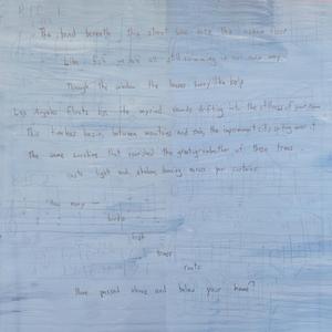 The same sunshine that nourished the great-grandmother of these trees casts light and shadow, dancing across your curtains