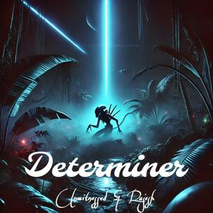 Determiner