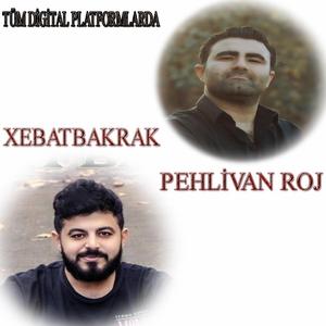 Batari Grani Bomba Gibi Hareketli (feat. Pehlivan Roj)