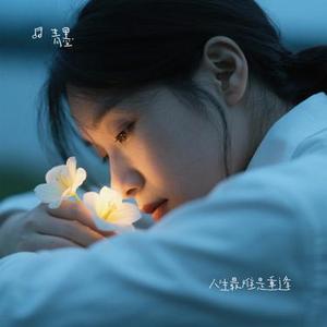 人生最难是重逢 (Remix)