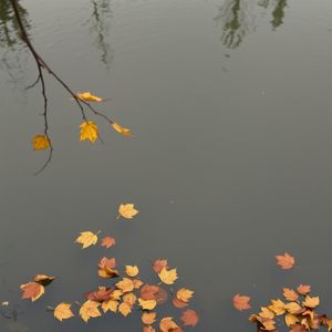 午夜心中的思恋