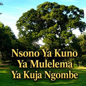 Nsono Ya Kuno Ya Mulelema Ya Kuja Ngombe