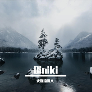 Biniki