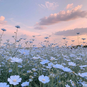 Драконы дождя